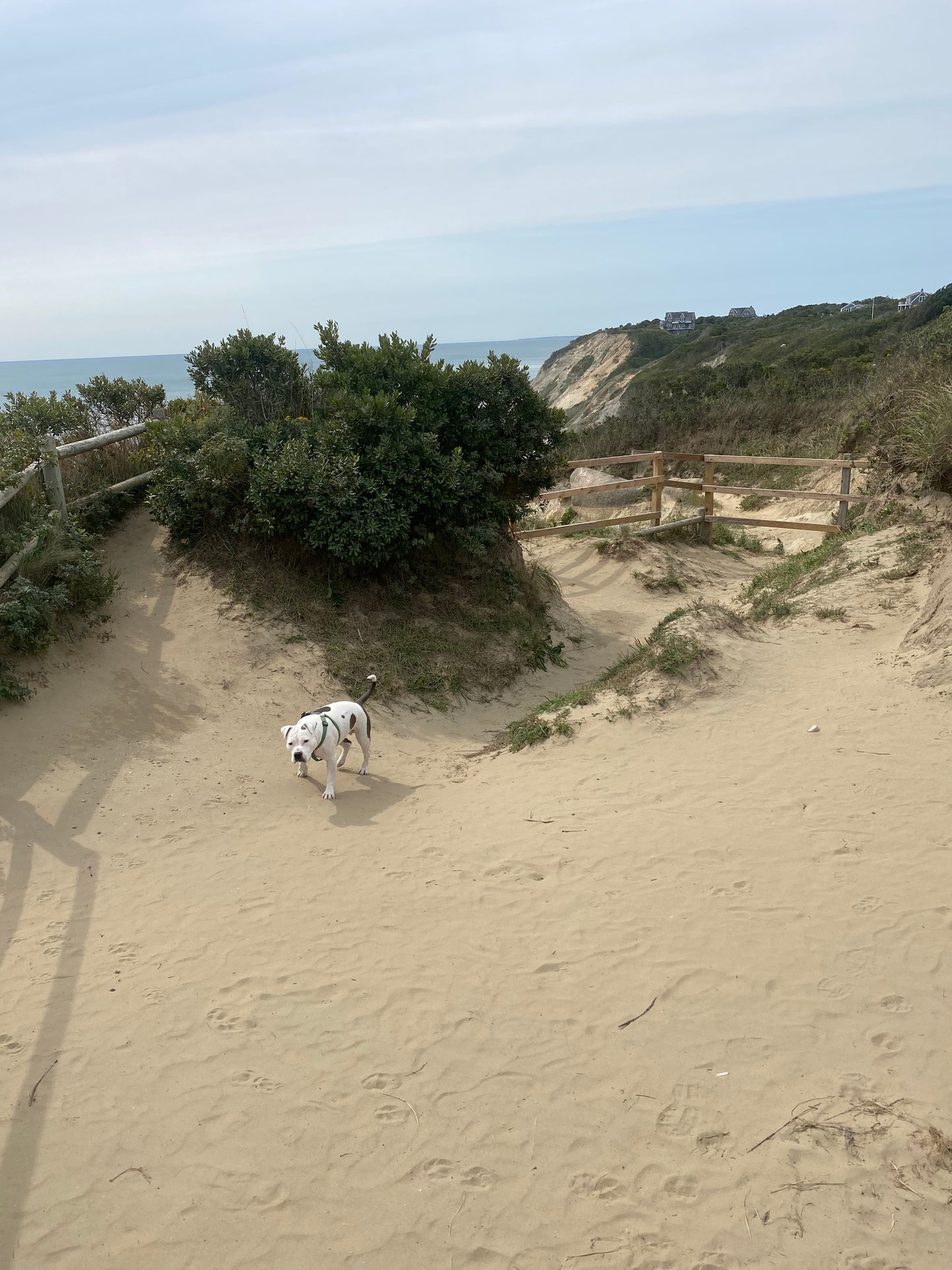 Block Island Transportation