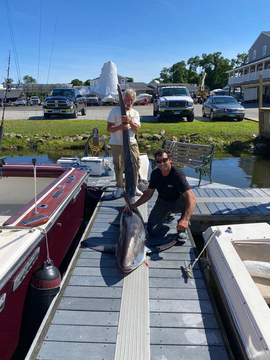 12 Hour Offshore Sharking