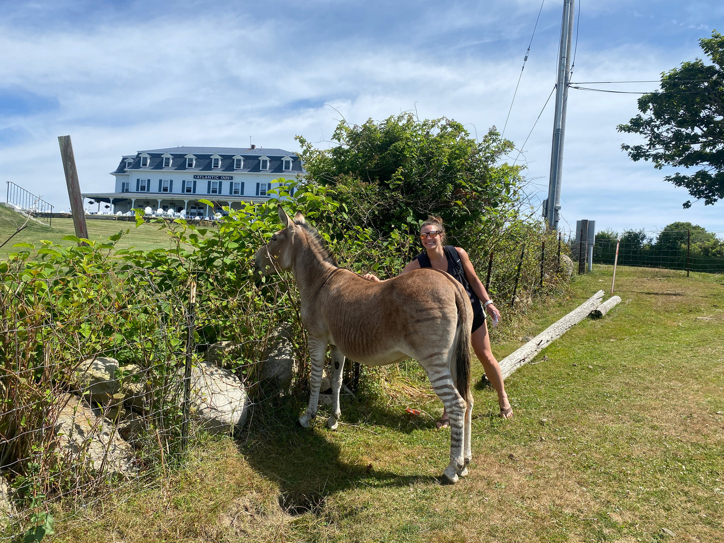 Block Island Transportation